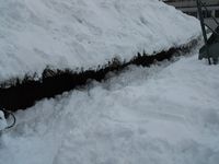 DSCN5436 DSCN5436