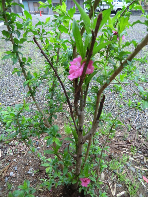 CIMG0563