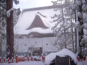 DSCN0466 DSCN0466